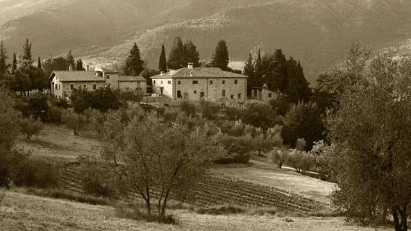 Il territorio e la fattoria