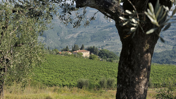 Il territorio e la fattoria