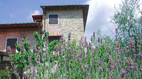 Il territorio e la fattoria